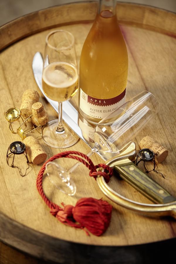 Weingut Und Gaestehaus Apel Nittel Bagian luar foto